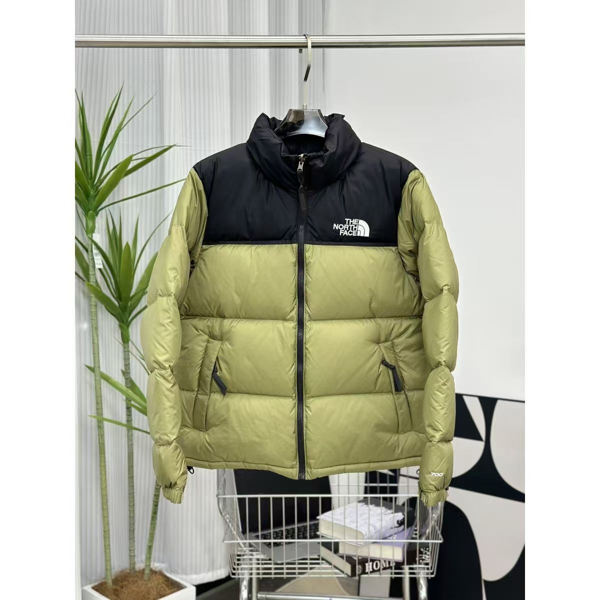 Jacket